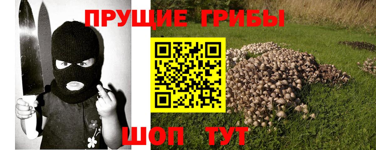 Галлюциногенные грибы мицелий  Вход с VPN  наркота  Пугачёв  Галлюциногенные грибы Psilocybe 
