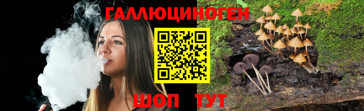 Псилоцибиновые грибы GOLDEN TEACHER Пугачёв